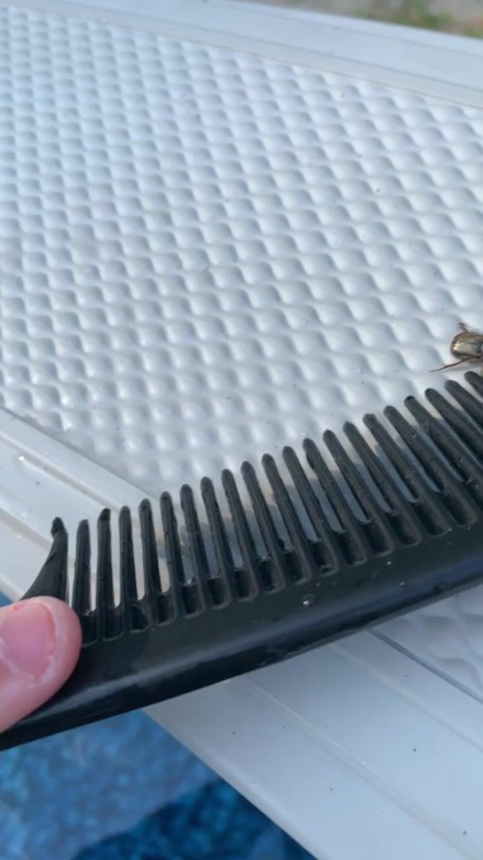 TikTok video thumbnail by ethannleger