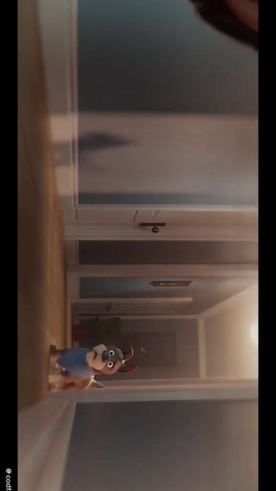 TikTok video thumbnail by padrote_jerry_cod