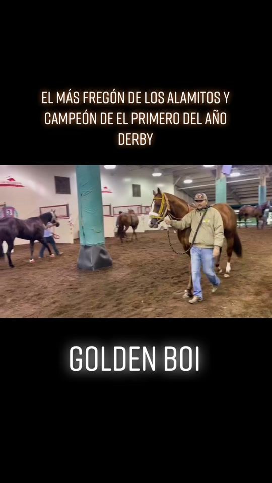 TikTok video thumbnail by carreras.d.caballos