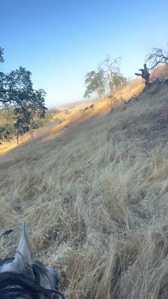 TikTok video thumbnail by wt.terzian