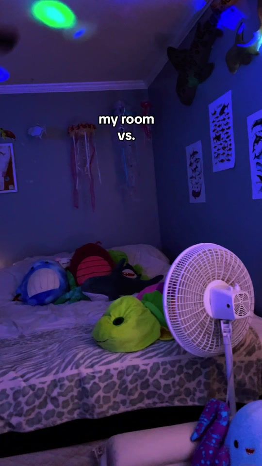 TikTok video thumbnail by ireallyheartsharks