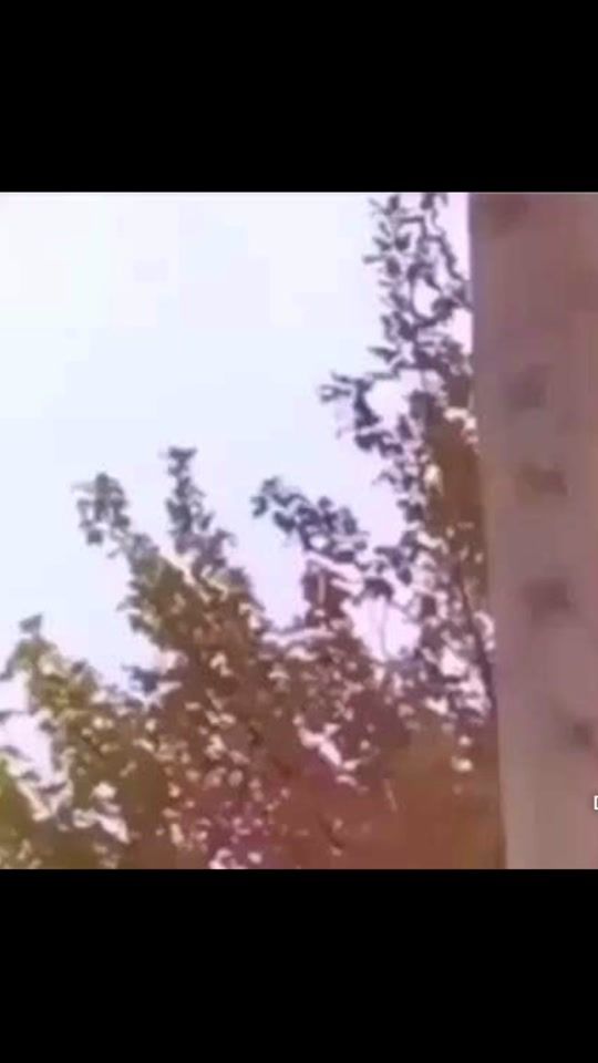 TikTok video thumbnail by fatal_funnel_outdoors