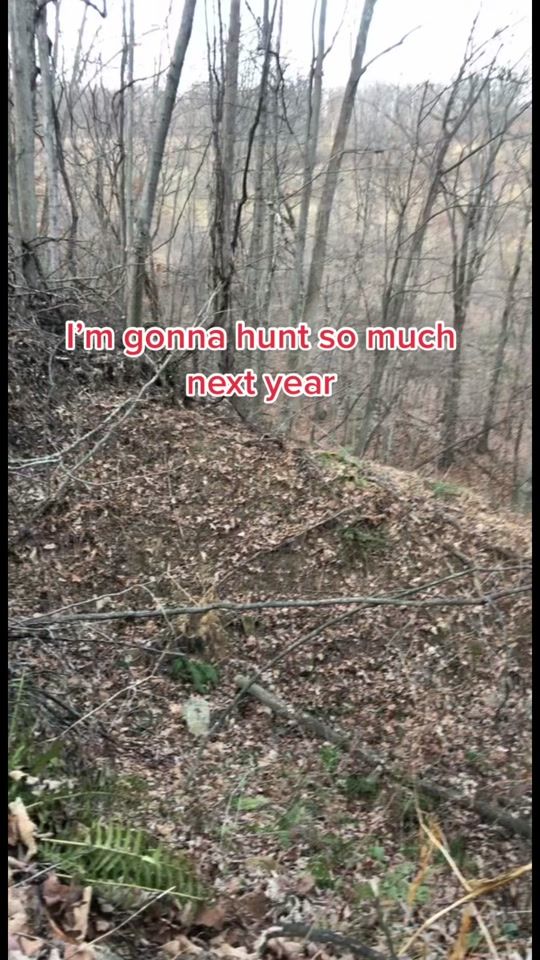 TikTok video thumbnail by rocky17beeman