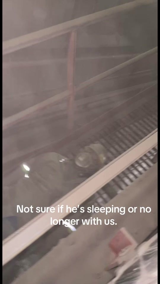 TikTok video thumbnail by garretmccullar01
