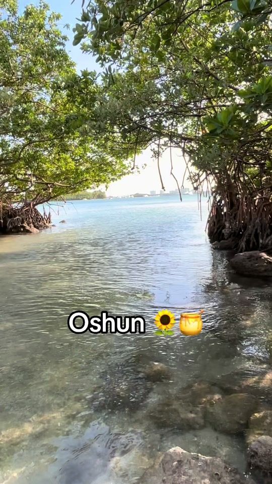 TikTok video thumbnail by elpadrinojaimecuervo
