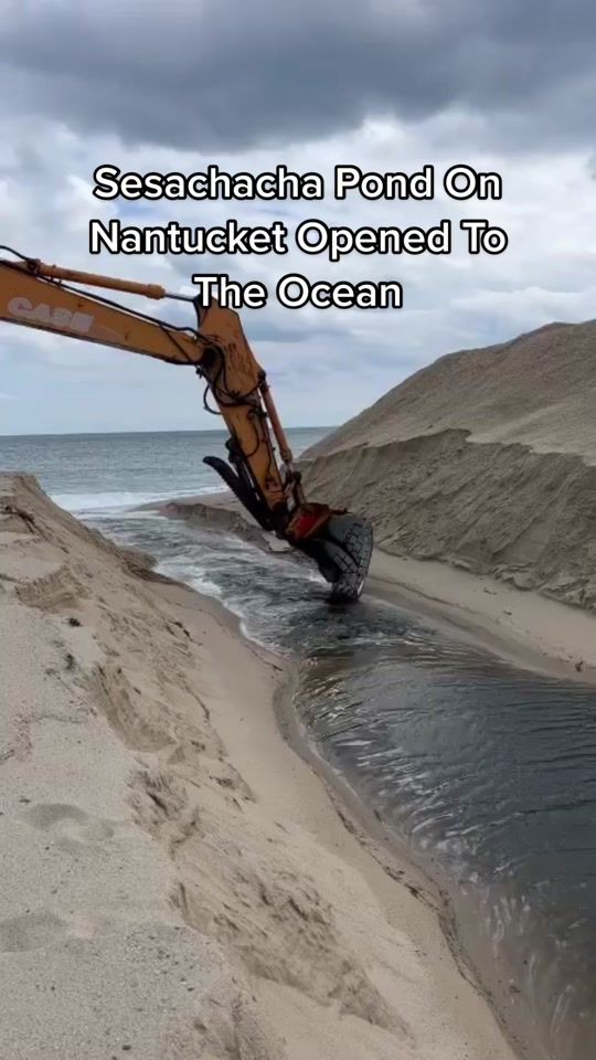 TikTok video thumbnail by nantucketcurrent