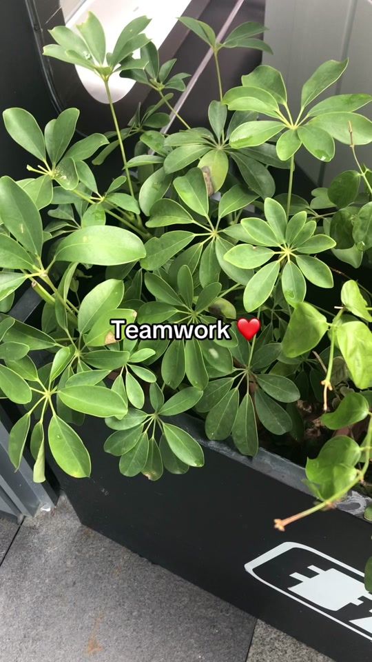 TikTok video thumbnail by odelettekit2