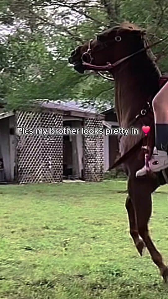 TikTok video thumbnail by craftygirl__123