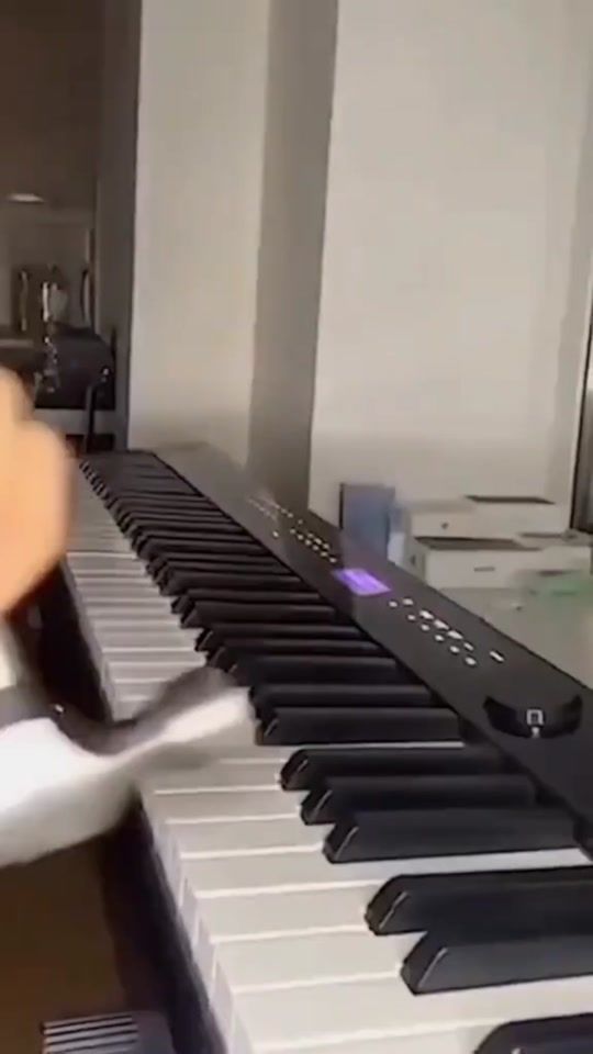 TikTok video thumbnail by angelicdevil82