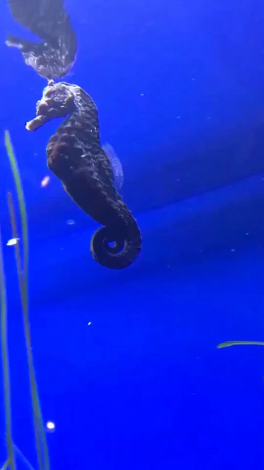 TikTok video thumbnail by tiktok
