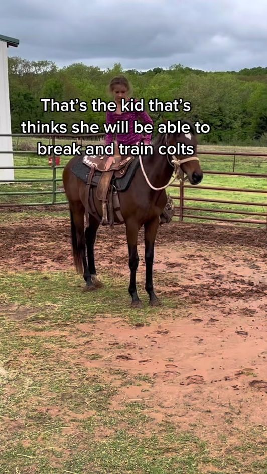 TikTok video thumbnail by flying.heart.ranch