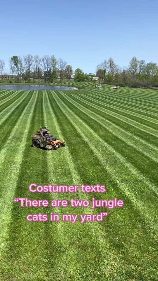 TikTok video thumbnail by jack_eisenhardt