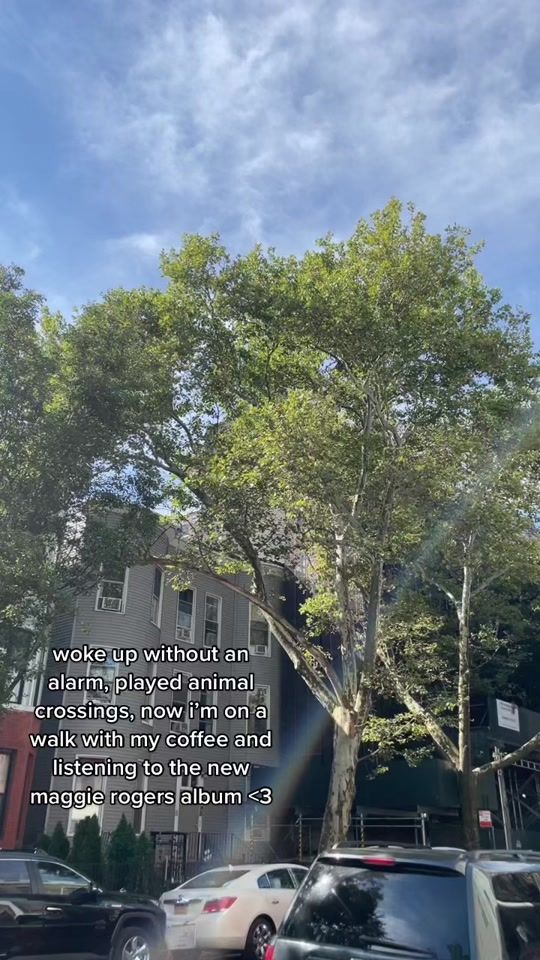 TikTok video thumbnail by molly_null
