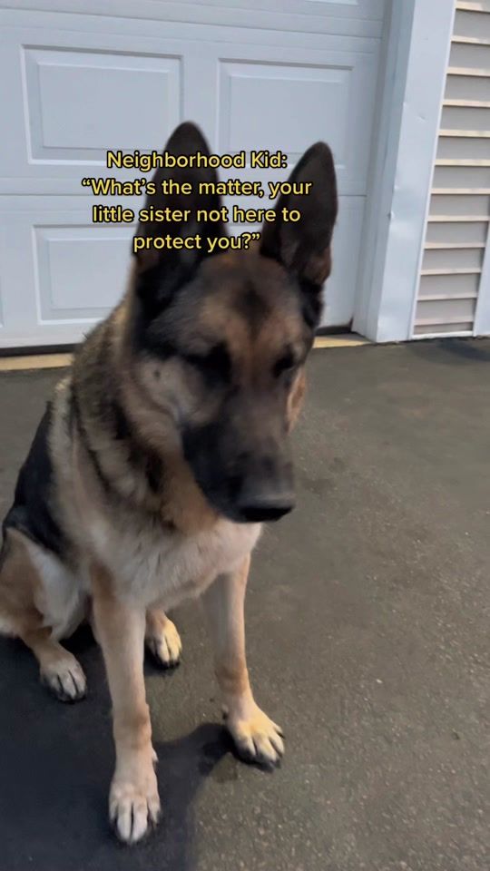 TikTok video thumbnail by larry719_lynda622