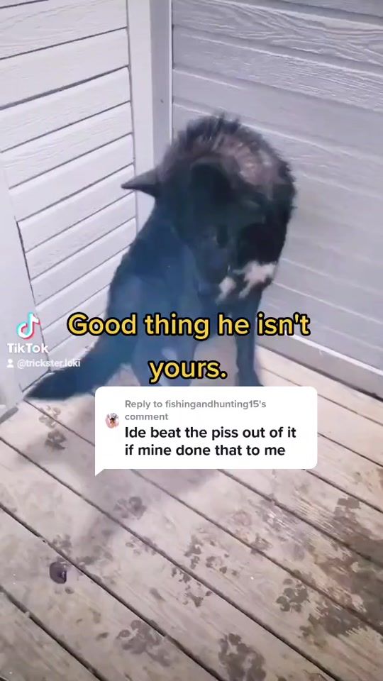 TikTok video thumbnail by trickster.loki