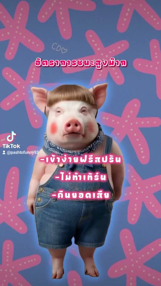 TikTok video thumbnail by pashtofunny93