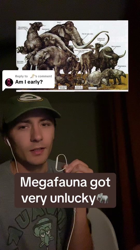 TikTok video thumbnail by goobris