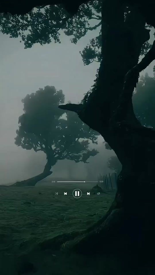 TikTok video thumbnail by musiclove075