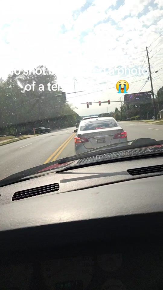 TikTok video thumbnail by zimathehusky