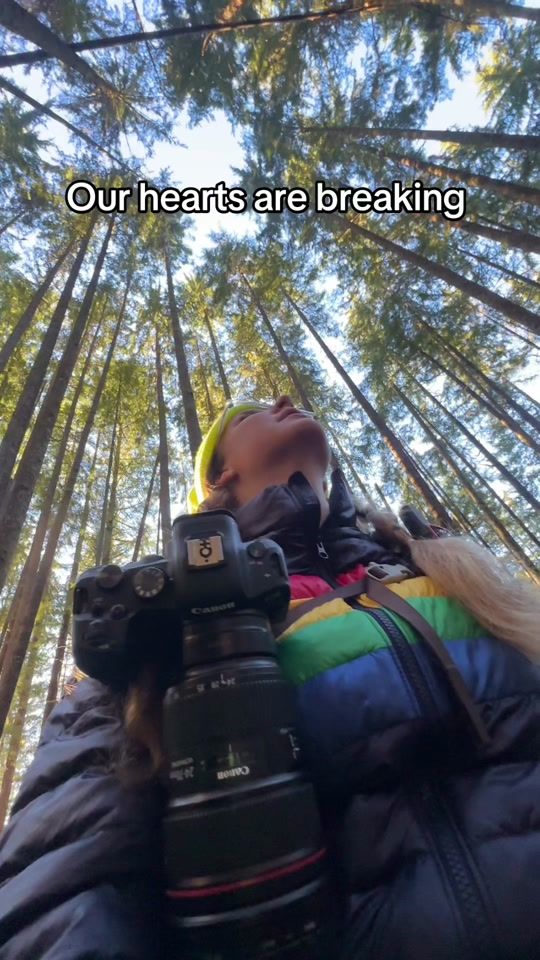 TikTok video thumbnail by madeleinewilsonphoto