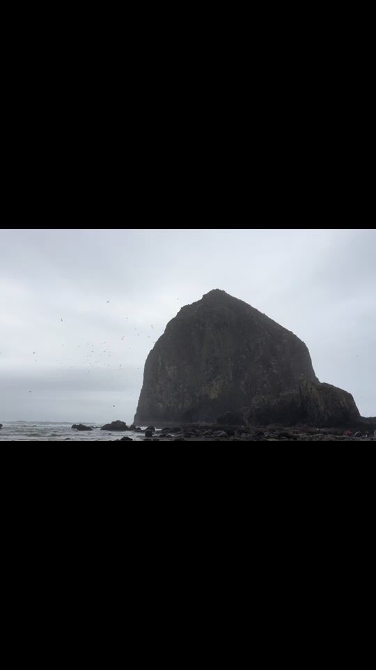 TikTok video thumbnail by w_d_s_