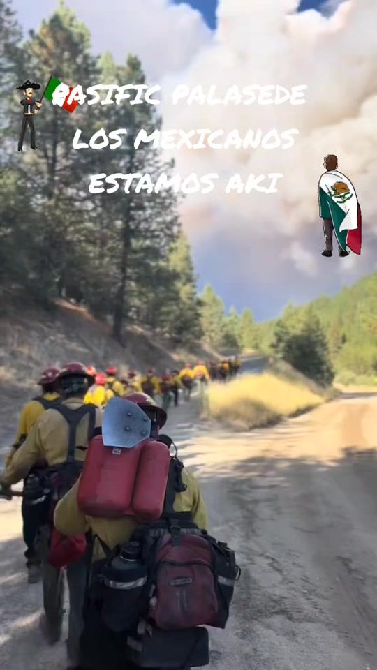 TikTok video thumbnail by guillermoavila1976