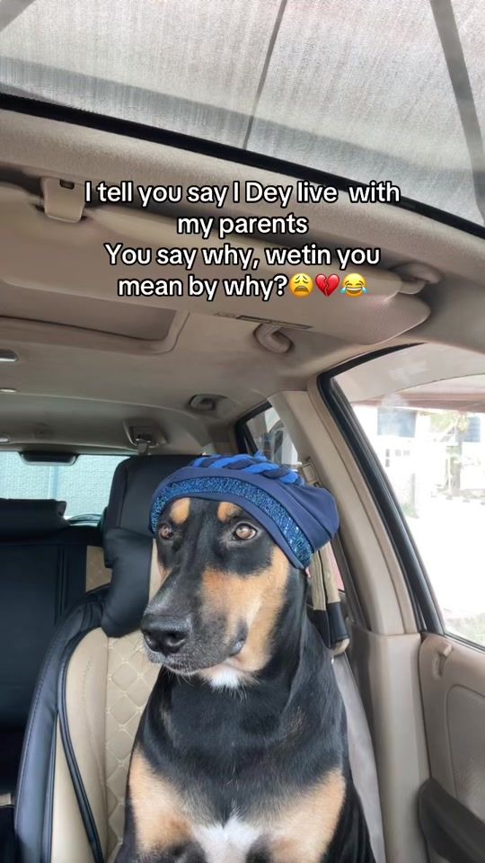 TikTok video thumbnail by zeldadiaries