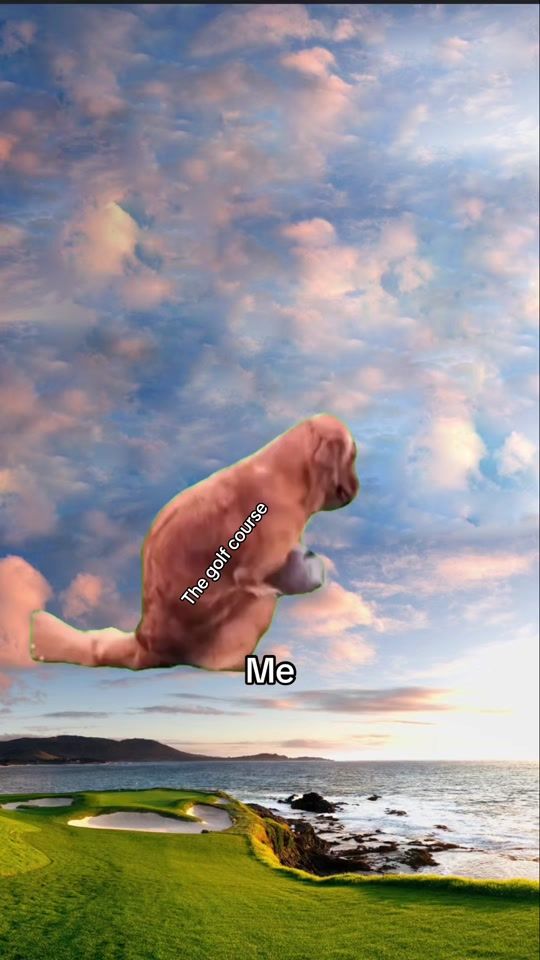 TikTok video thumbnail by anomuly