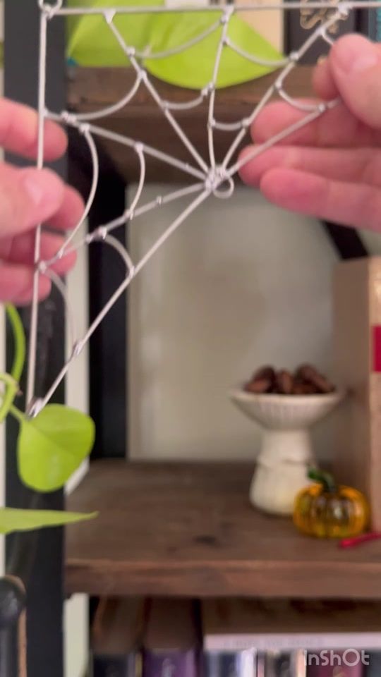 TikTok video thumbnail by cellardoortrades