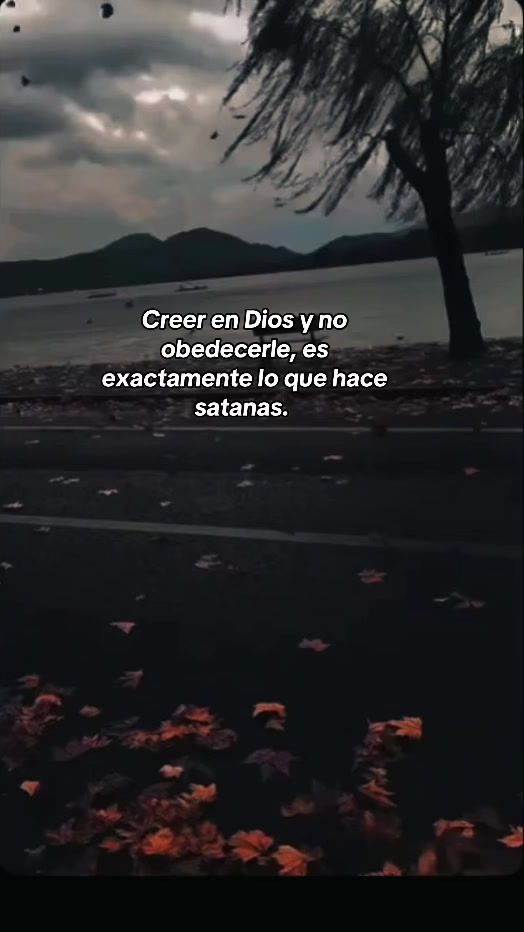 TikTok video thumbnail by frasesmortales