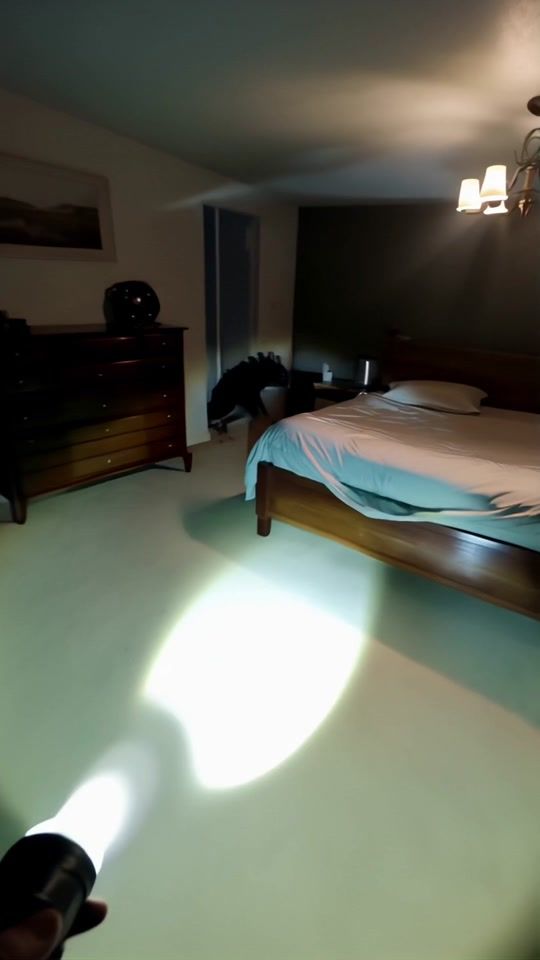 TikTok video thumbnail by txrek_