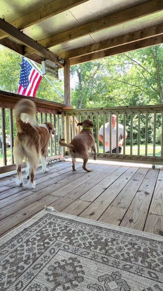TikTok video thumbnail by mwmercantile