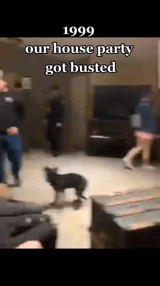 TikTok video thumbnail by flighthouse666