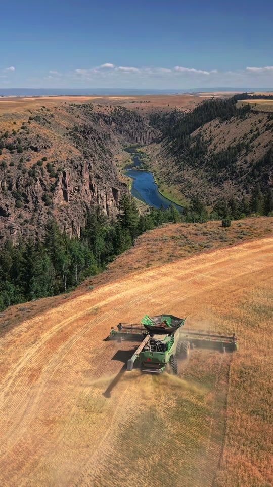 TikTok video thumbnail by idahofarmer