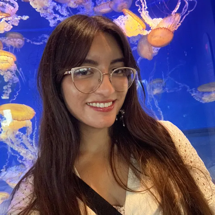 asmrlizvideos