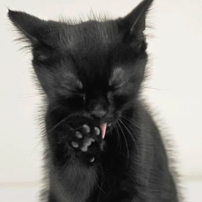 wrwtwrt