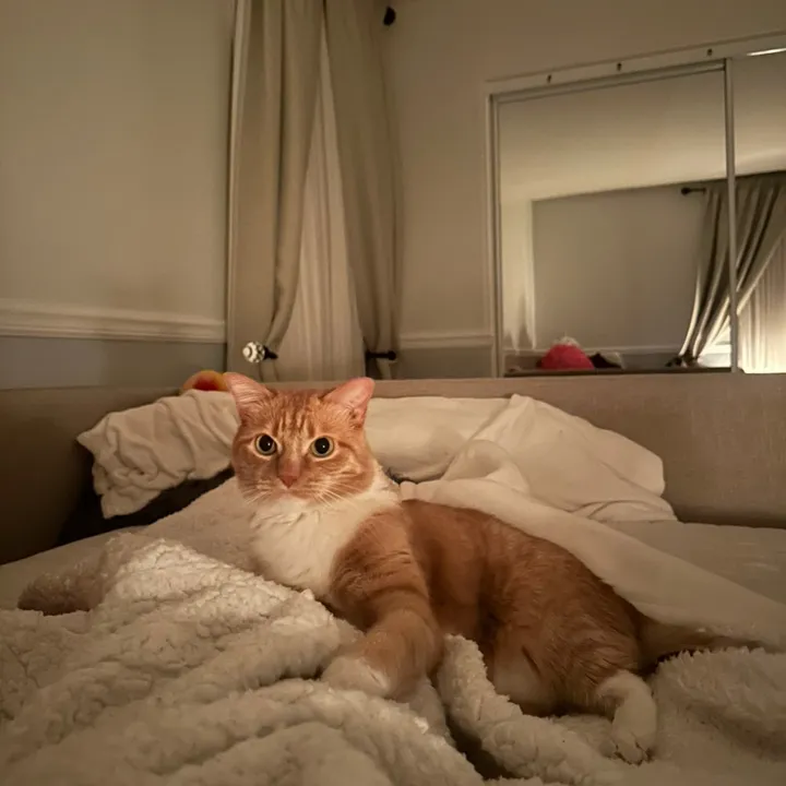 sophievpt8