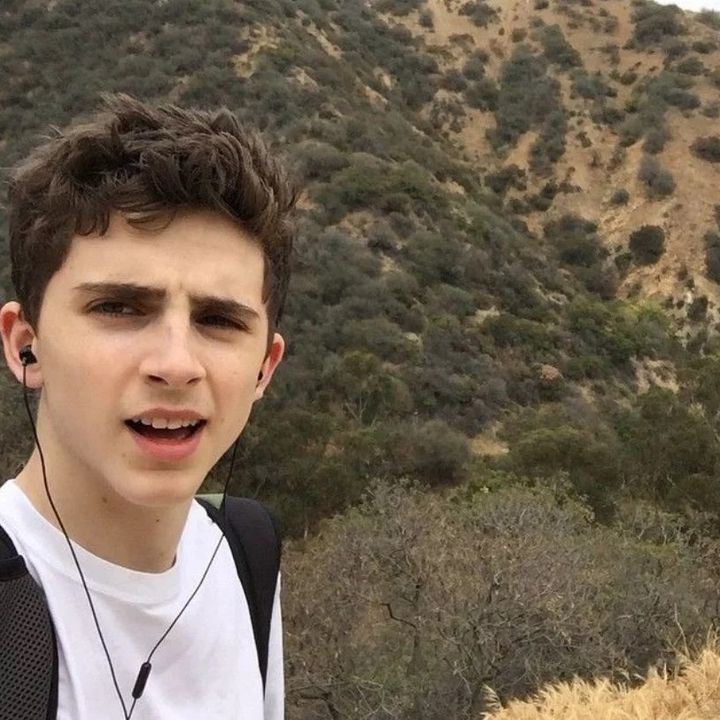 💭 - original sound - timotheechalametiscool