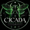 cicadashopfinds