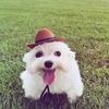 higuys_067