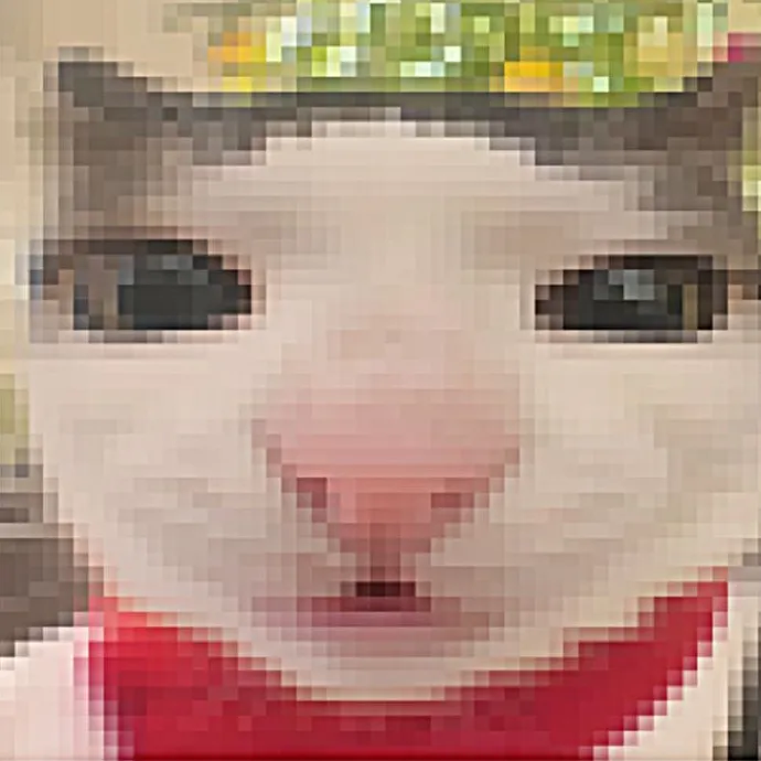 @notmoon69