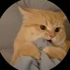 @effvbnu