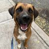 goose_the_goober_
