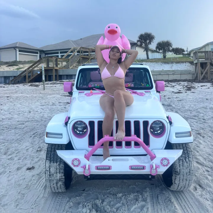 pinkchina4x4