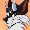 kamthefurry