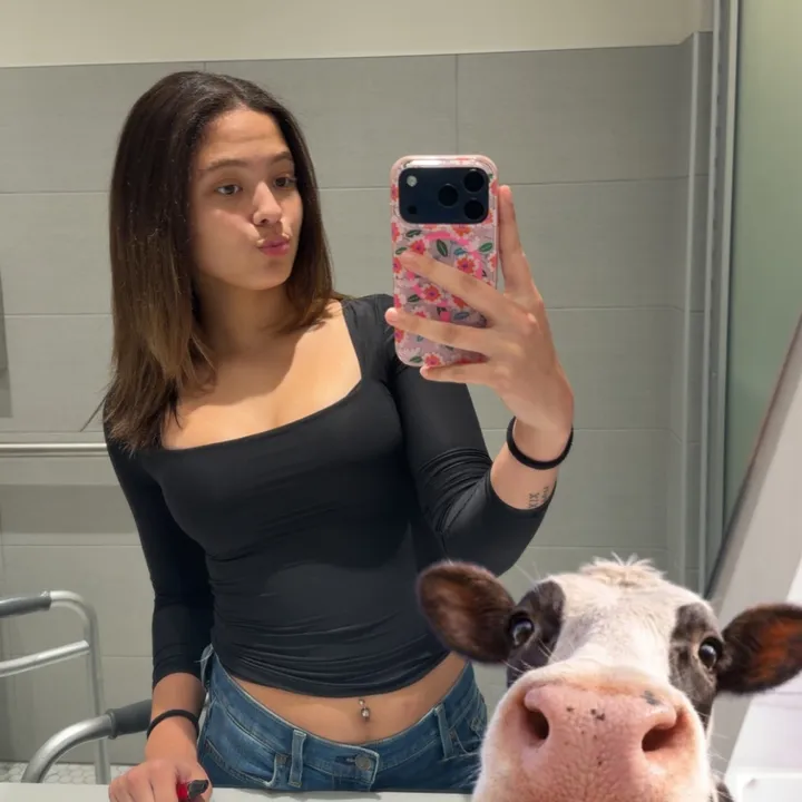 @user360756581828