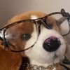 marblezpuppack