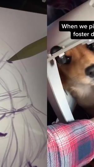TikTok video thumbnail by belmeran