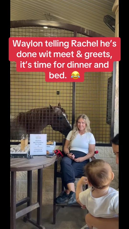TikTok video thumbnail by geminimom8