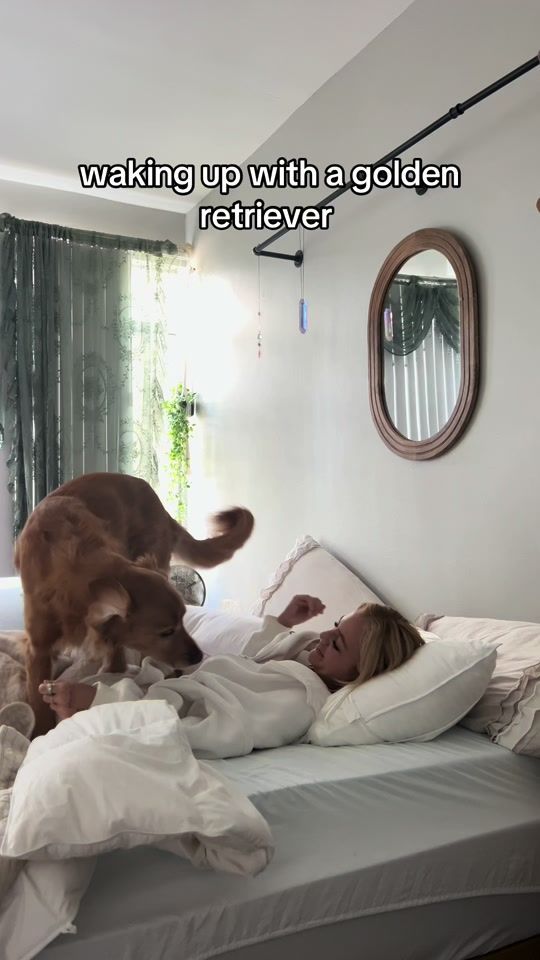 TikTok video thumbnail by mrcobywest